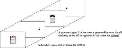 The effects of emotional distress on attentional bias toward cigarette warnings according to smokers' anxiety levels